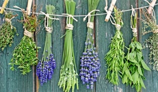 Herbs & Infusions